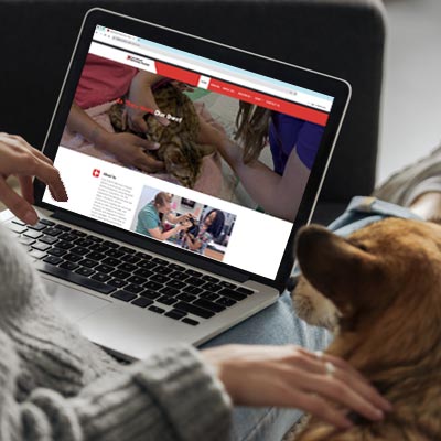 Lake Brandt Vet website